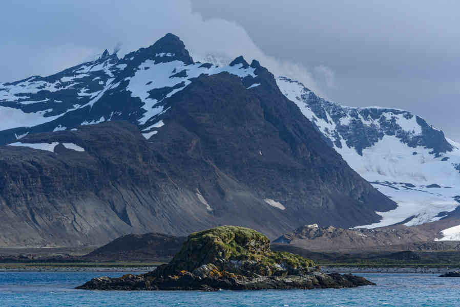 Islas Georgias del Sur 091.jpg